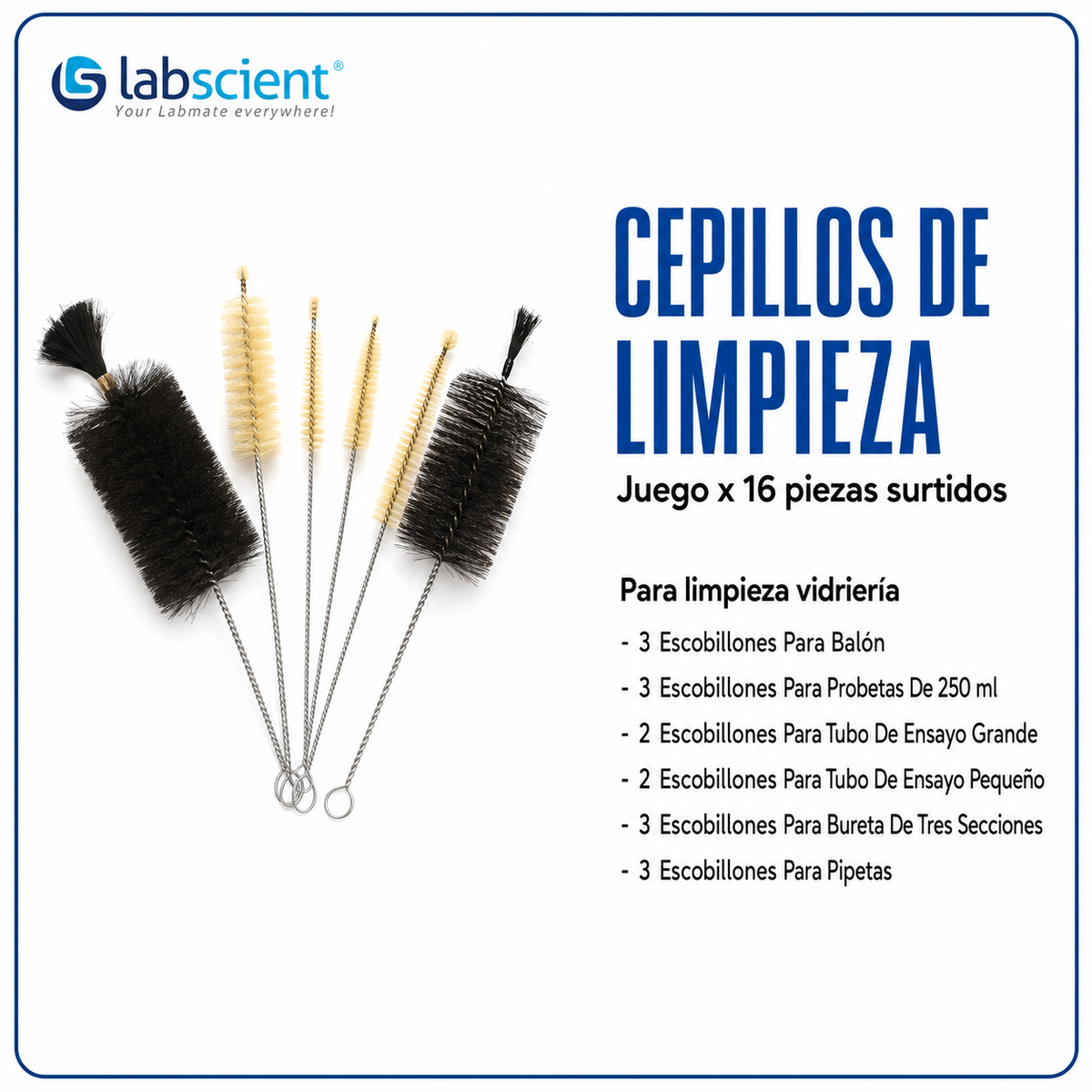 cepillos de limpieza