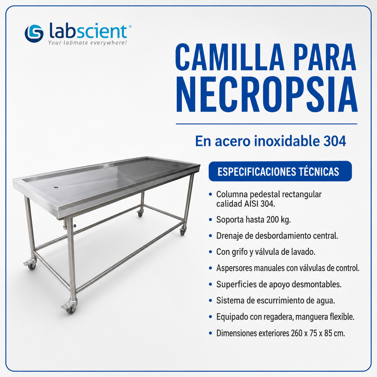 Camilla para necropsia