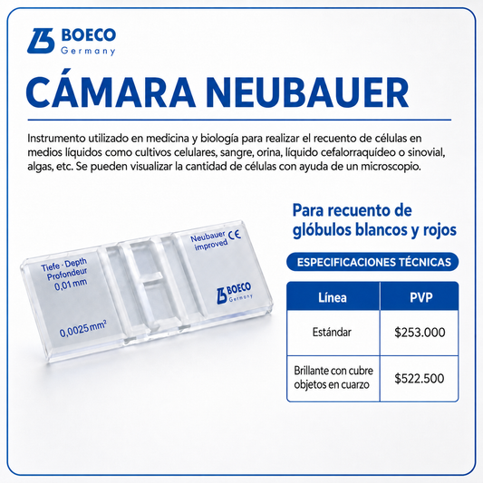 Camara neubauer